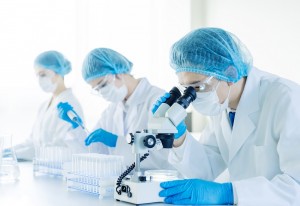 電子材料の研究開発